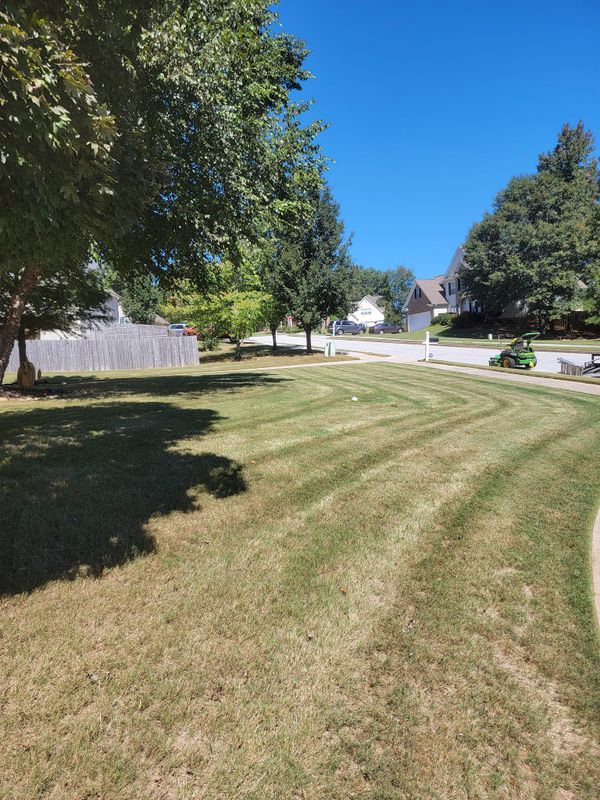 Lawn Care