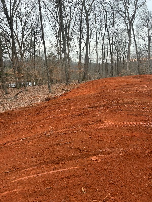 Land Clearing gallery