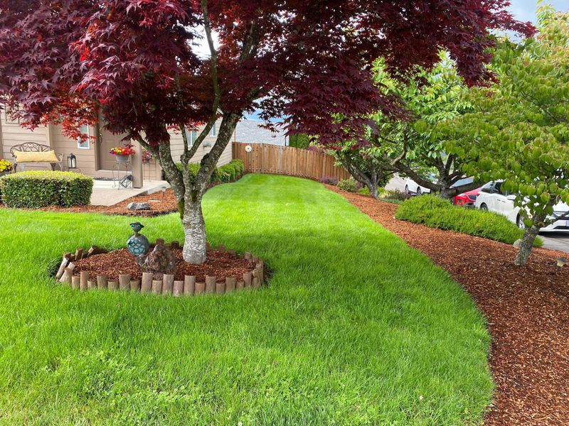 Lawn Maintenance