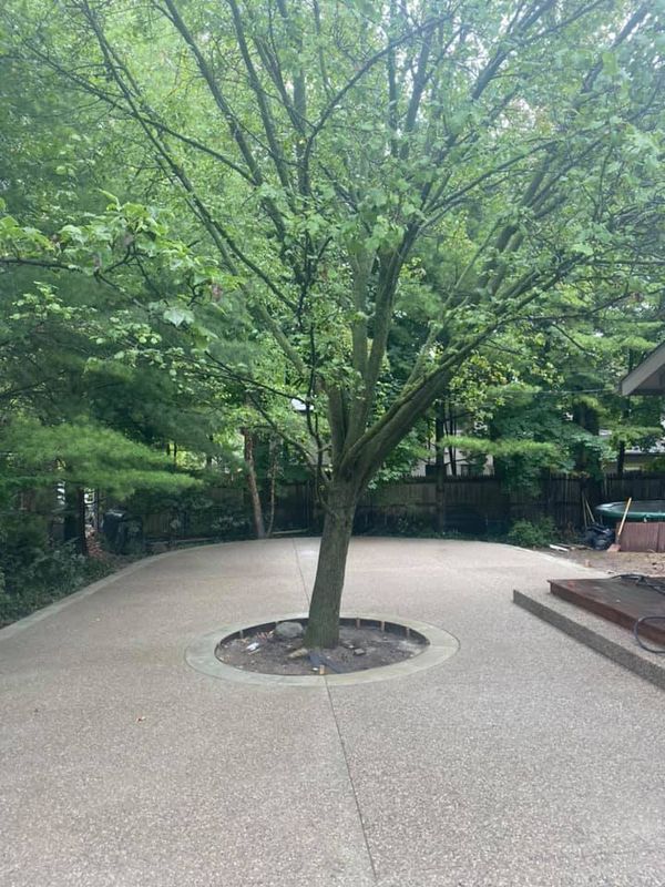 Concrete Driveway Replacement