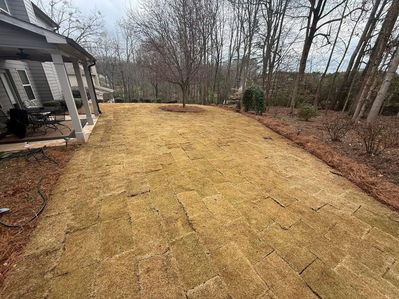 🧱 Hardscape Installation