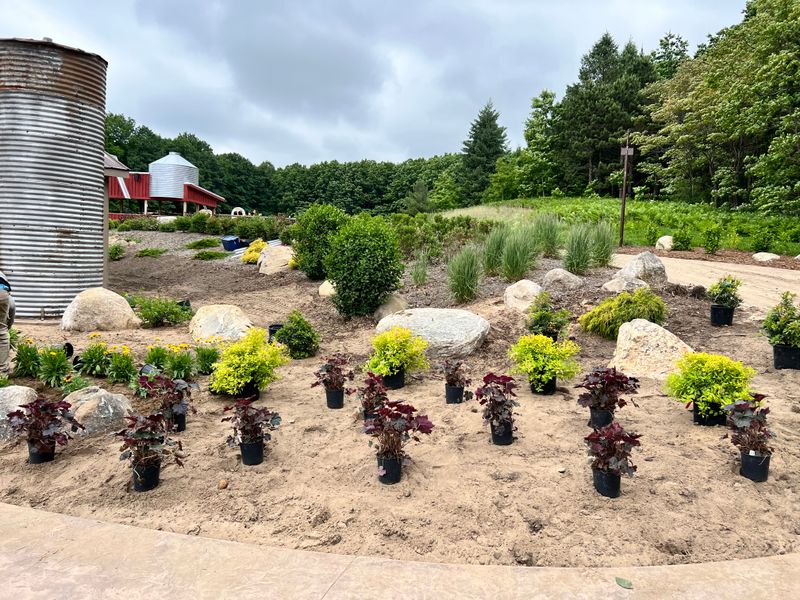Landscaping