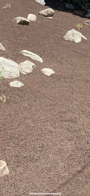 Mulch Installation