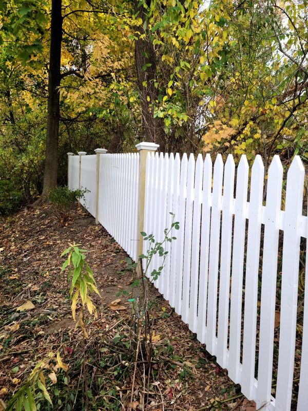 Wooden Fences