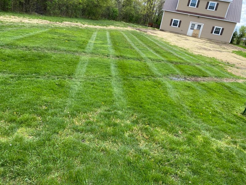 Lawn Care