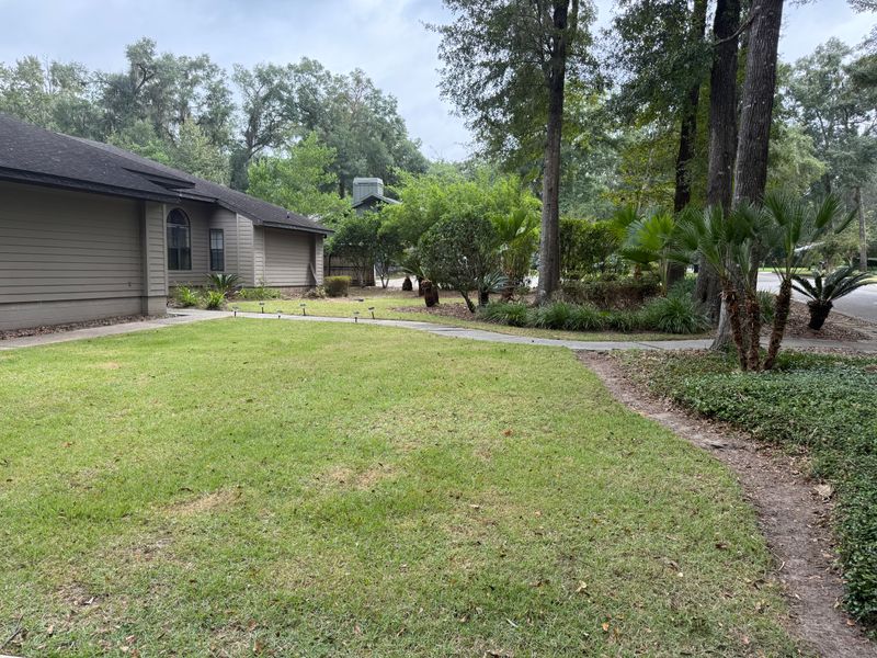 Landscape & Property Cleanup