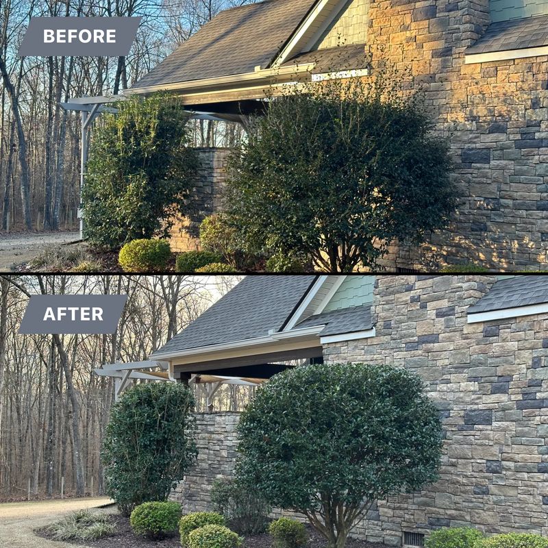 Shrub/Bush Trimming