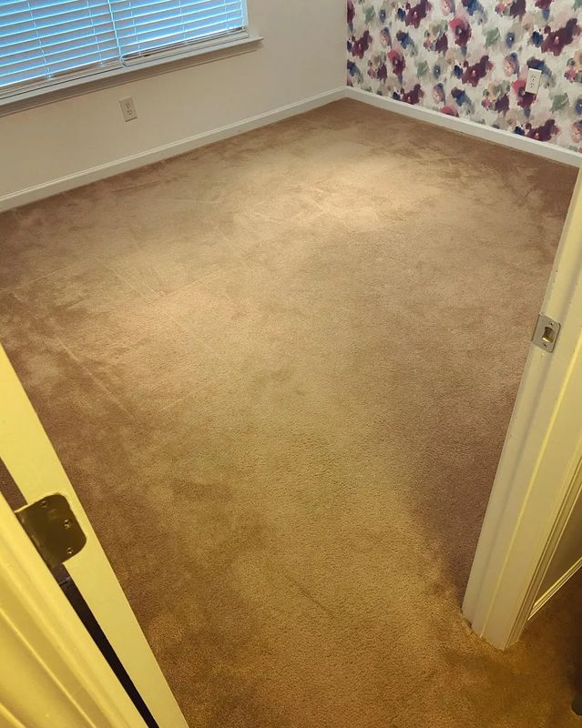 Carpet Cleaning