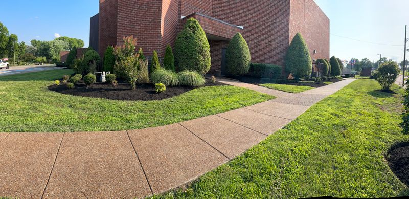 Mulch Installation