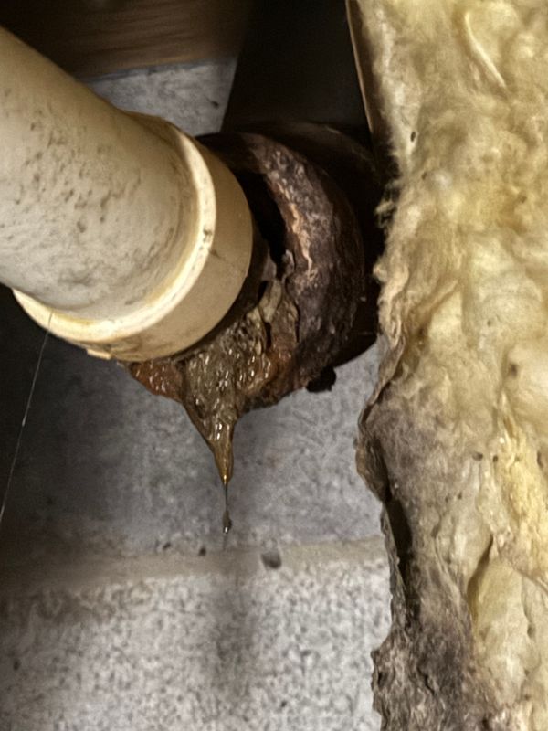 Water line, Sewer line and Drain line Repair and Replacement