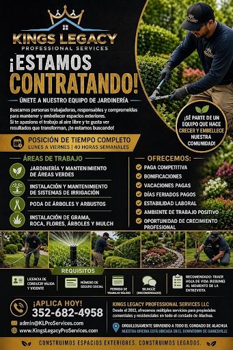 Landscape & Property Cleanup