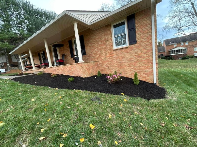 Landscape Design & Installation