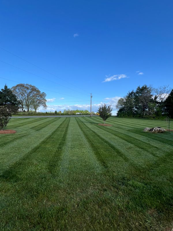 Fertilization and Weed Control Programs