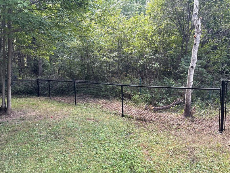 Chainlink Fencing
