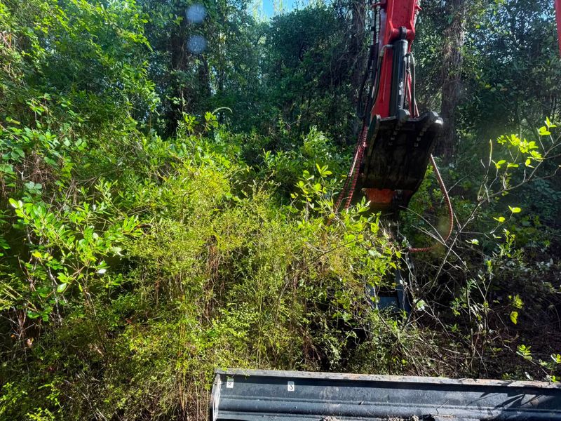 Land Clearing