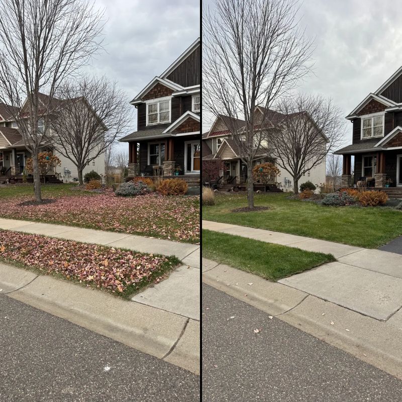 Fall Cleanup
