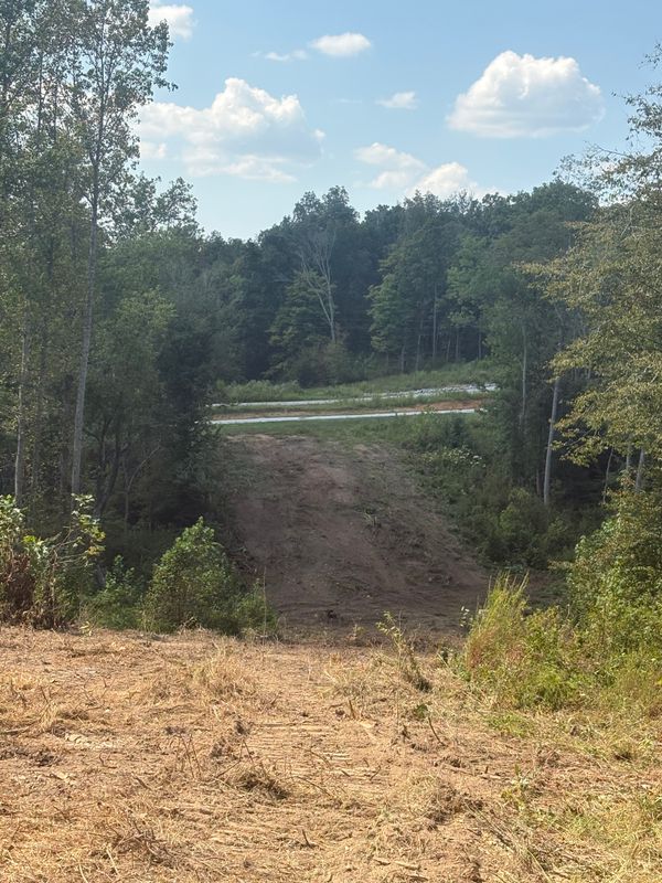 Land Clearing