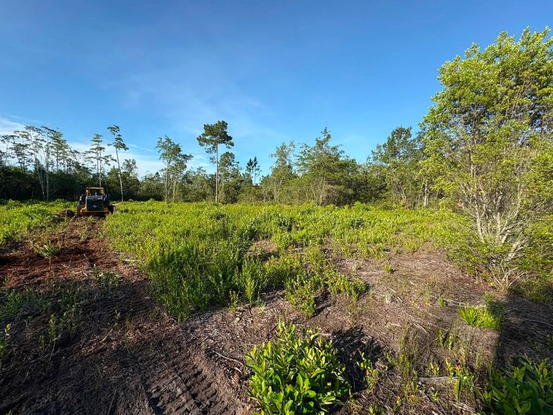 Forestry Mulching