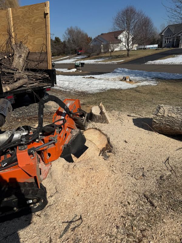 Tree Removal