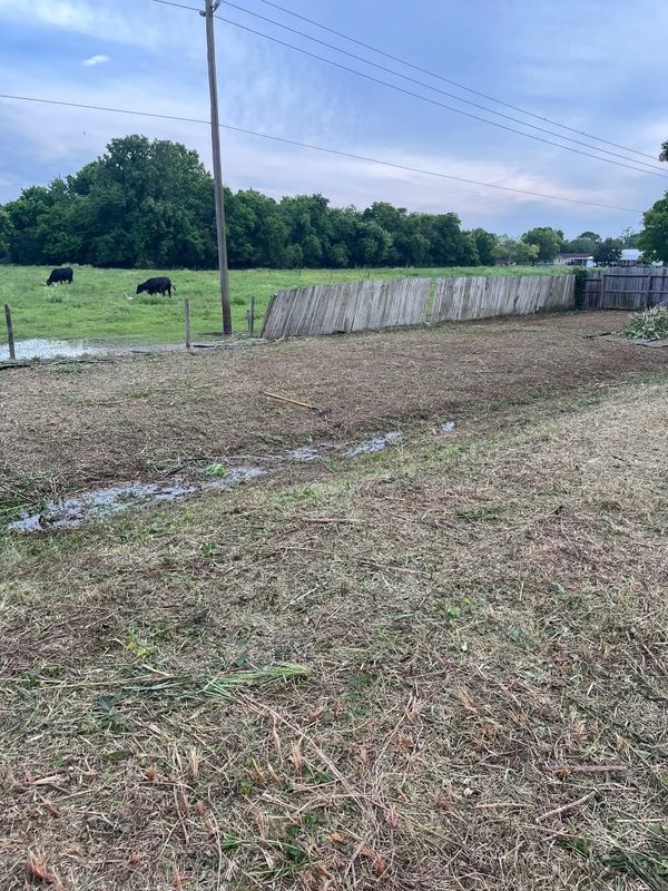 Lawn and Yard Maintenance