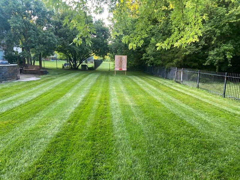 Residential Lawn Care