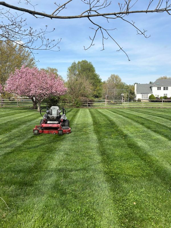 Lawn Care & Maintenance