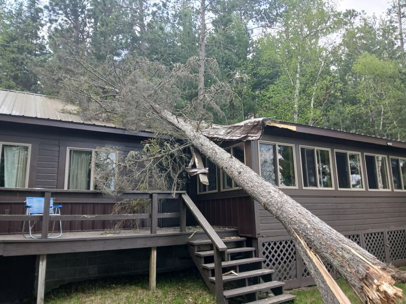 Emergency Tree Removal
