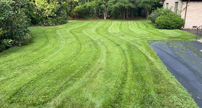 Lawn Mowing