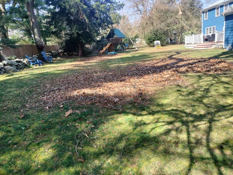 Landscaping gallery