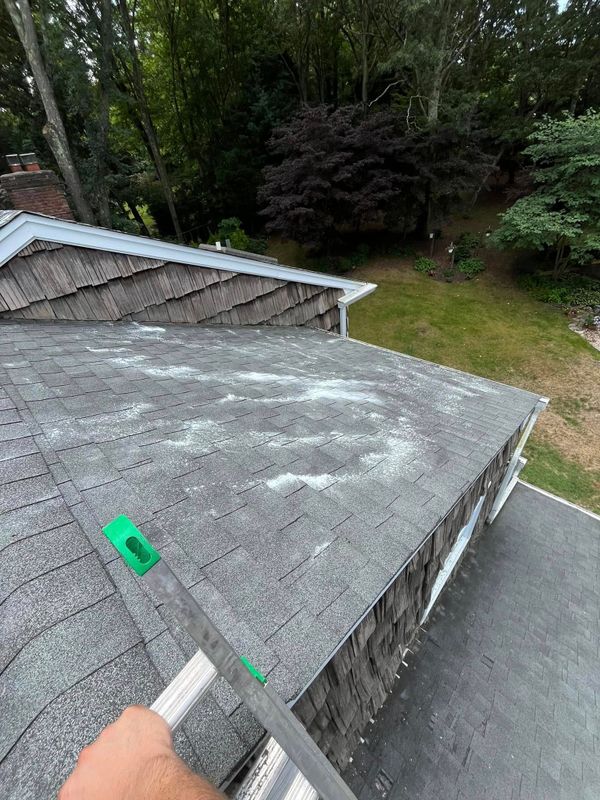 Roof Cleaning