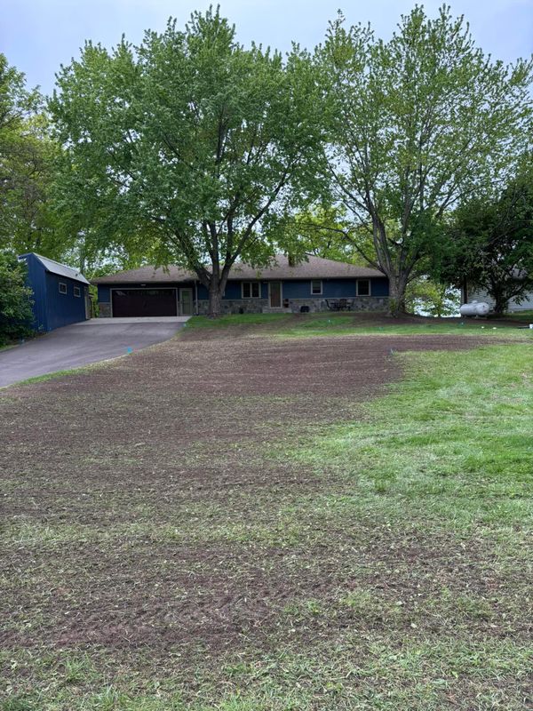 Lawn Seeding