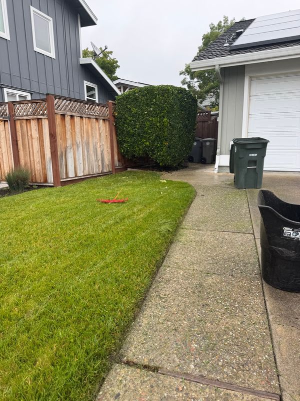 Lawn Maintenance