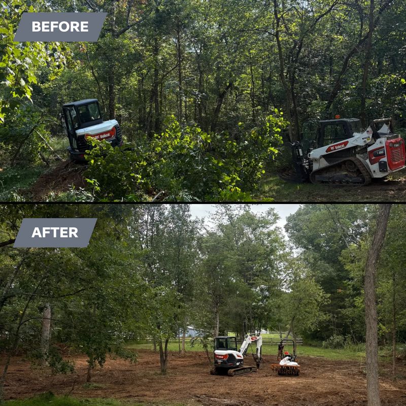 Land Clearing