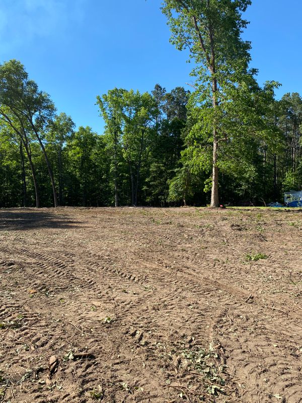 Land Clearing