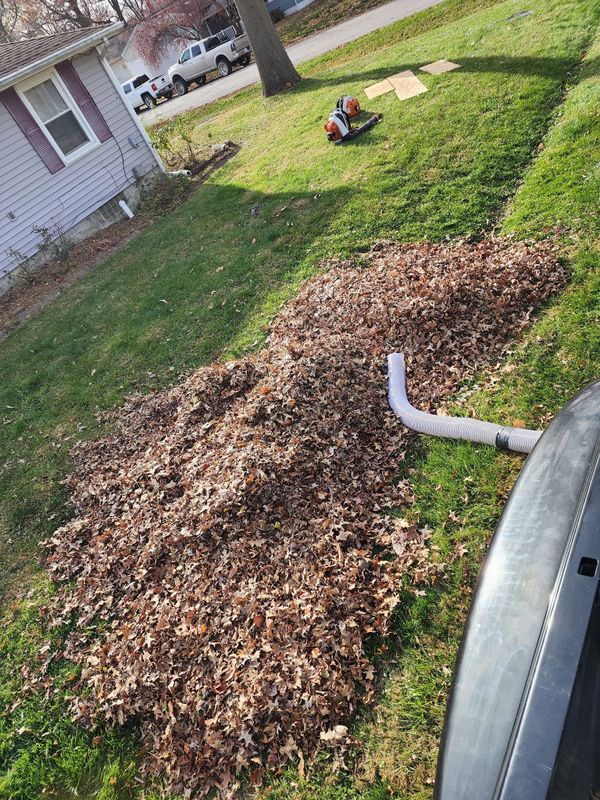 Seasonal Cleanups