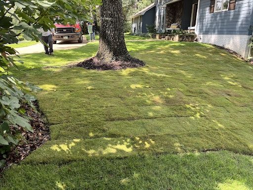 Landscape Design