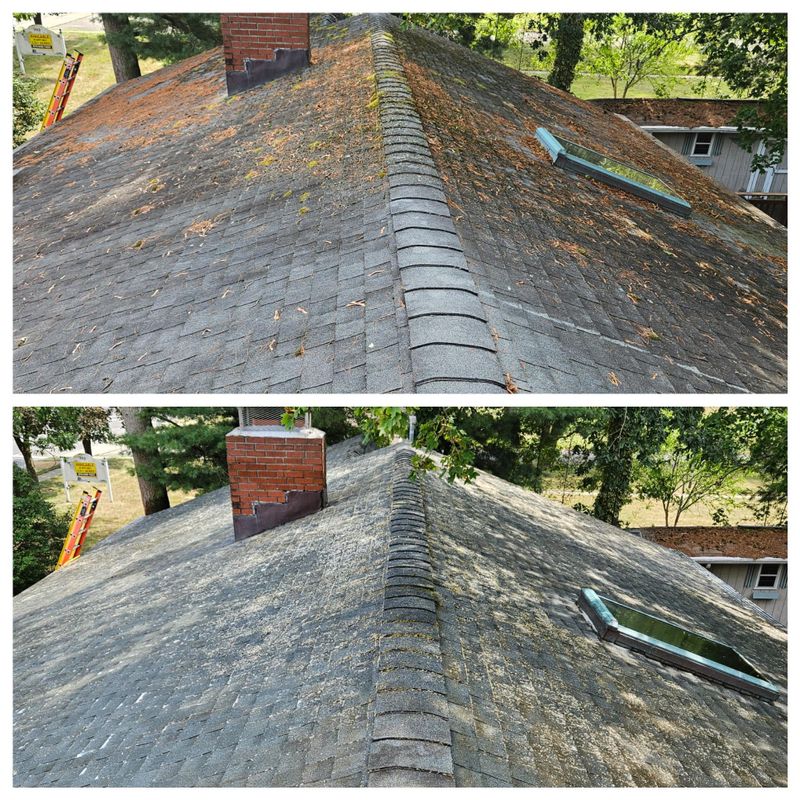 Roof Washing
