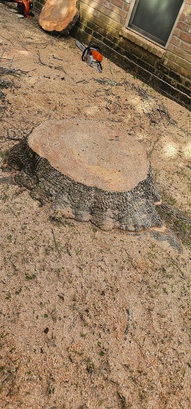 Tree Removal