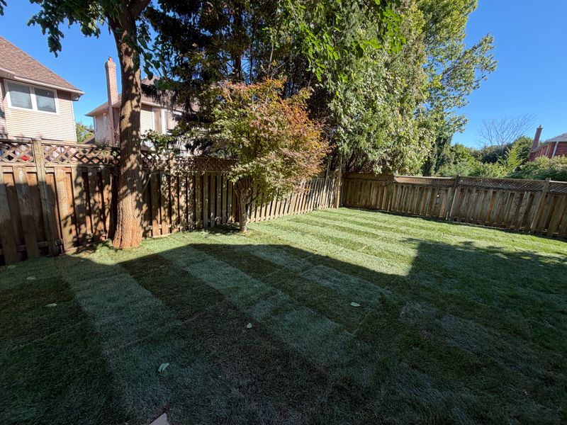 Fence Installation