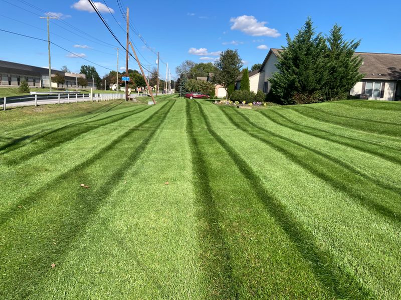 Garden Maintenance