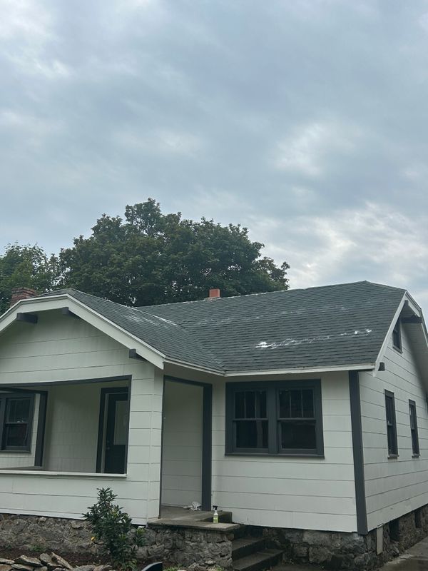 Roof Cleaning