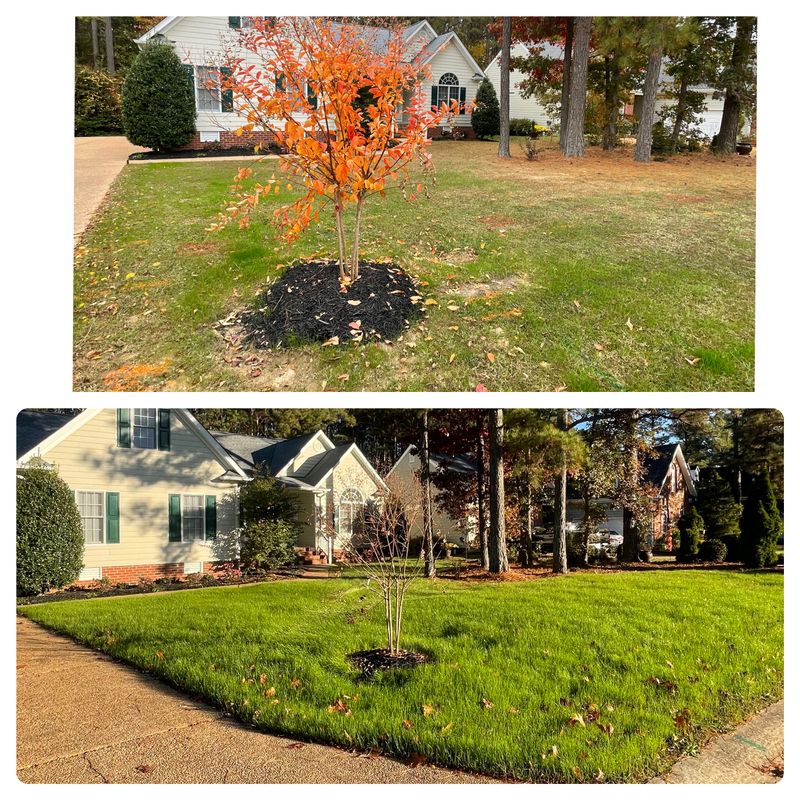 Sod Install