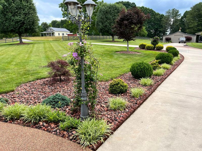Lawn Maintenance