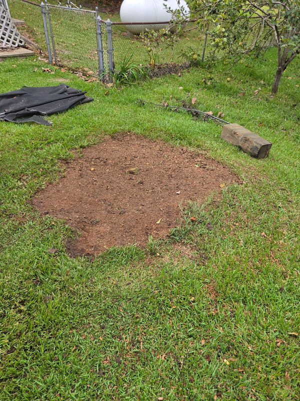 Stump Grinding