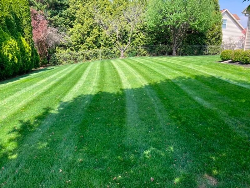 Lawn Maintenance