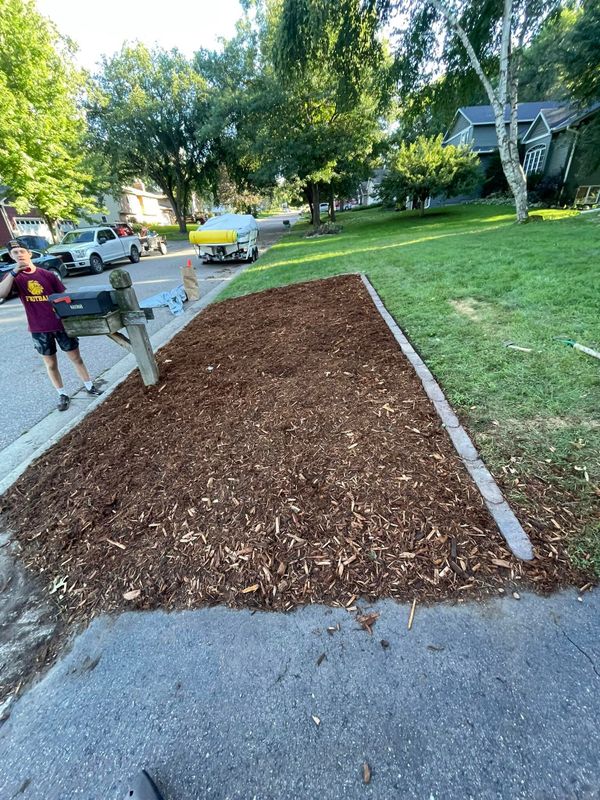 Tree & Shrub Care