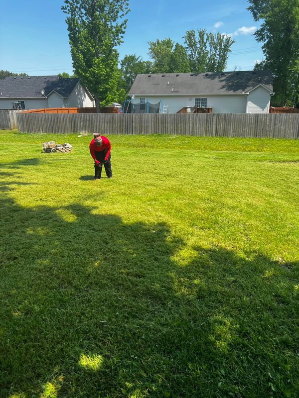 Lawn Care
