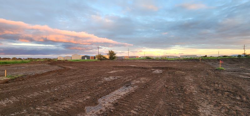 Land Clearing and Site Preparation