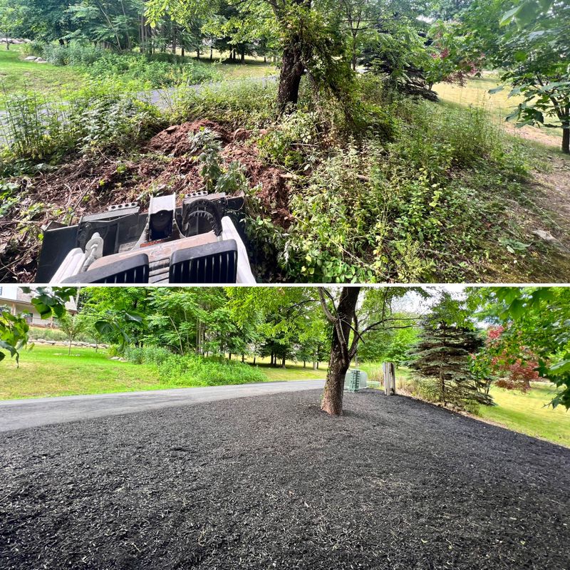 Landscaping