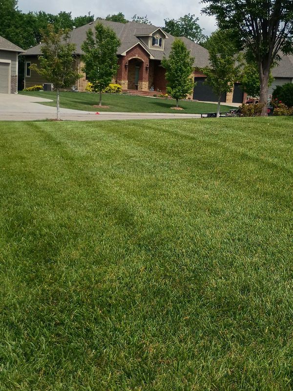 Lawn Maintenance
